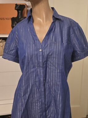Express Blue Pinstripe Button-Front Shirt Dress